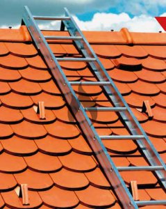 Střešní žebřík JUST Typ 60-201 - hliníkový